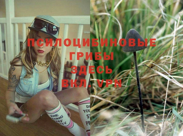 тгк Новозыбков