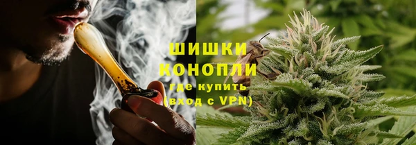 тгк Новозыбков