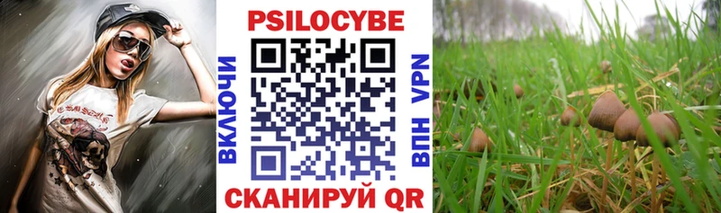 Галлюциногенные грибы ЛСД  наркота  Отрадное 