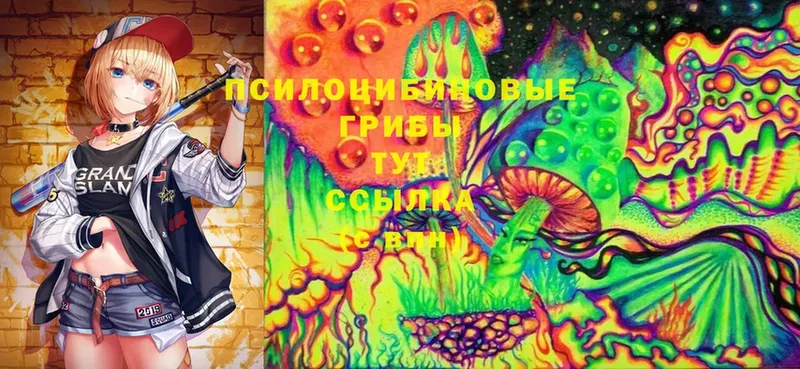 Псилоцибиновые грибы Cubensis  Отрадное 