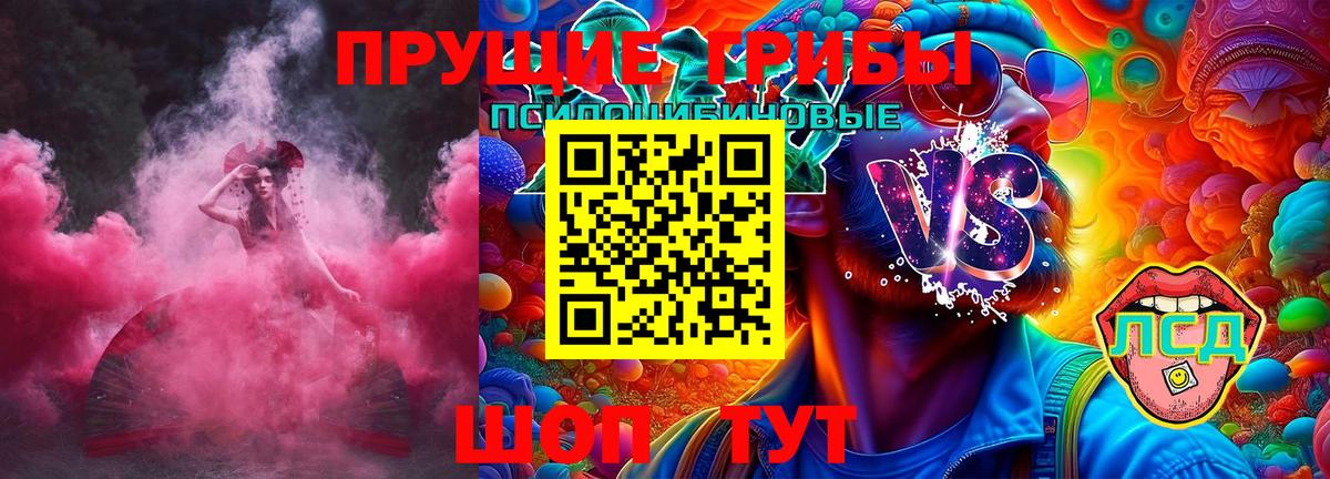Галлюциногенные грибы GOLDEN TEACHER  Вход с VPN  Псилоцибиновые грибы прущие грибы  Отрадное 